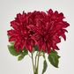 Red Dahlia Bush x 5