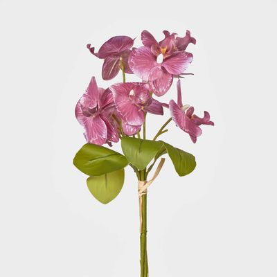 Fuchisa Pink Phalaenopsis Orchid Bouquet x 4 8 Flowers