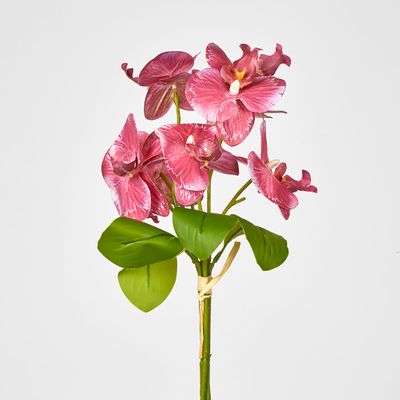 Fuchisa Pink Phalaenopsis Orchid Bouquet x 4 8 Flowers