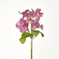 Fuchisa Pink Phalaenopsis Orchid Bouquet x 4 8 Flowers