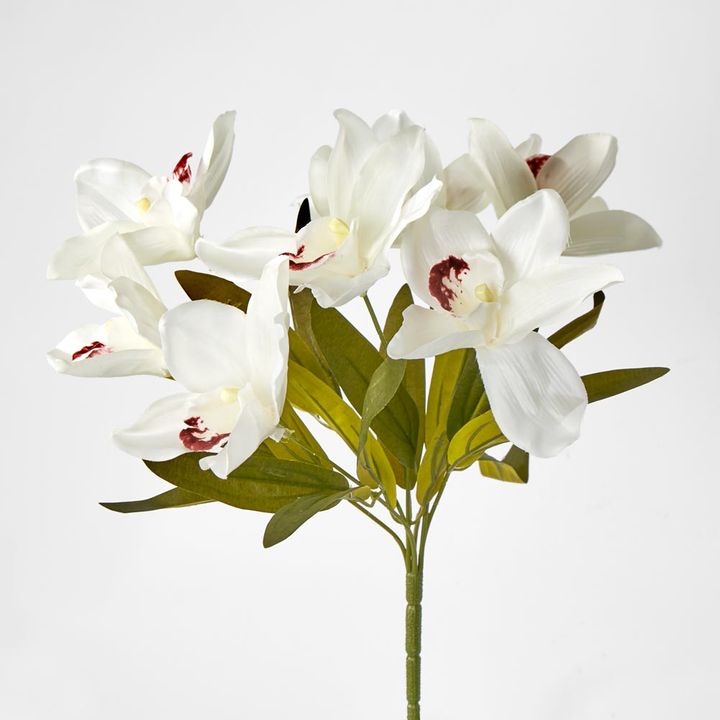 White Cymbidium Bush 7 Flowers