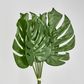 Monstera Leaf Bundle 2 Sizes 6pc