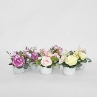 Rose Cymbidium Lily In Pot 6 Assorted Colours Purple Yellow Light Pink