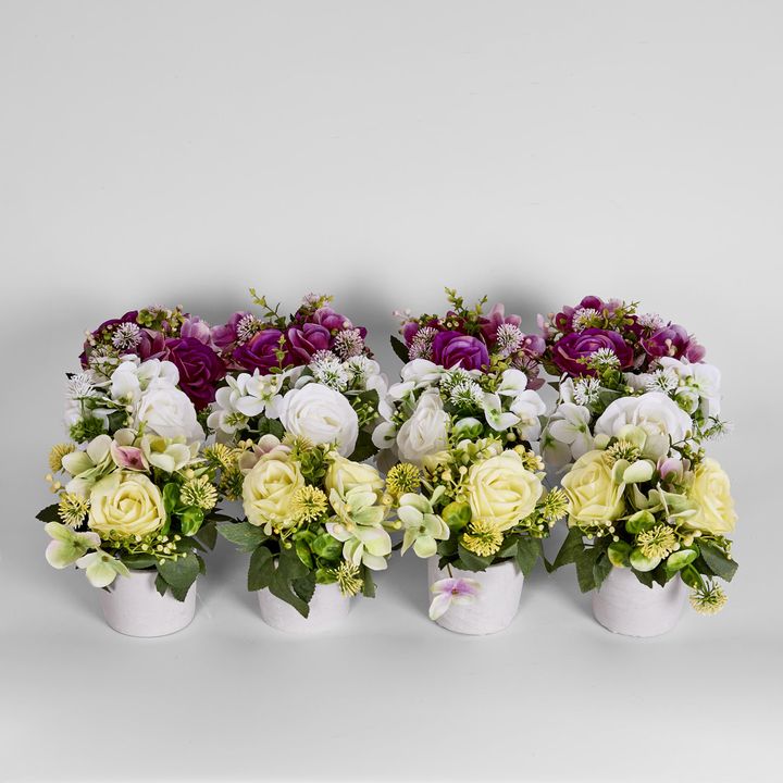 Rose Hydrangea in Pot 12 Assorted Colours White Yellow Purple