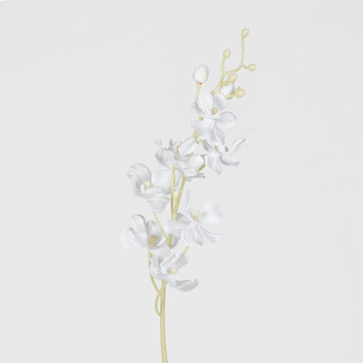 Dendrobium orchid spray