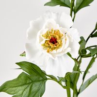 Peony Spray 64CM White