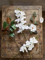 Magnolia Spray 84cm White