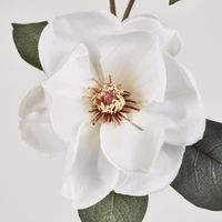 Magnolia Spray 84CM White