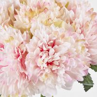 Frilly Light Pink Peony Bouquet