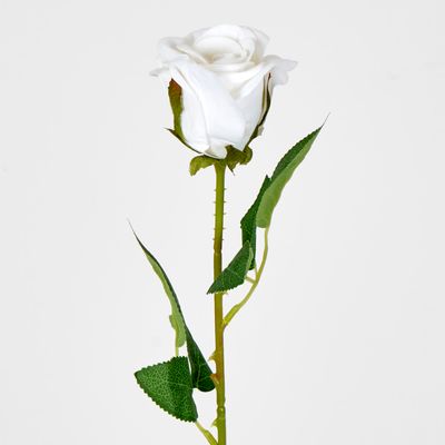 White Velvet Valentines Rose Bud