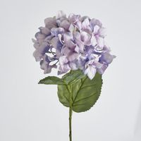 68cm Lilac Domed Hydrangea