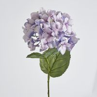 68cm Lilac Domed Hydrangea