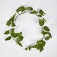 5ft Green Pothos Garland UV Protected