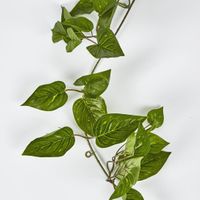 5ft Green Pothos Garland UV Protected