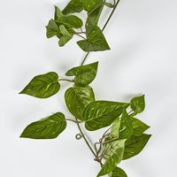 5ft Green Pothos Garland UV Protected