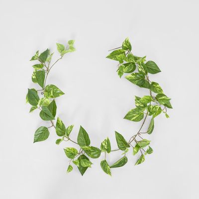 5ft Green Yellow Pothos Garland UV Protected