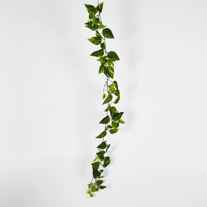 5ft Green Yellow Pothos Garland UV Protected