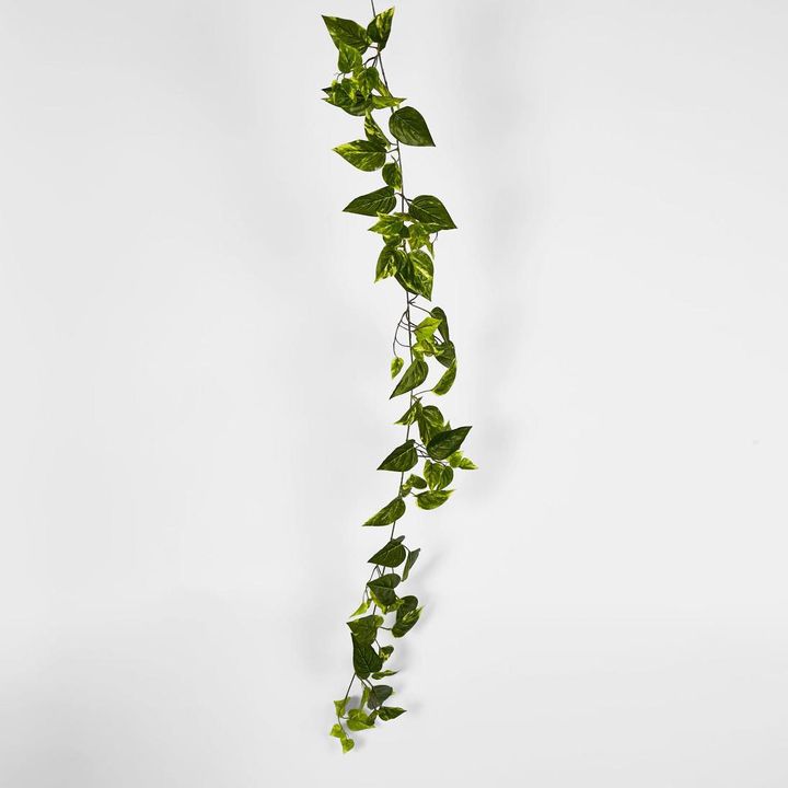 5ft Green Yellow Pothos Garland UV Protected