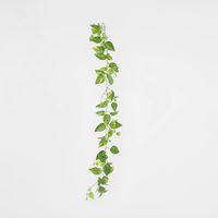 5ft Green Yellow Pothos Garland UV Protected
