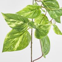 5ft Green Yellow Pothos Garland UV Protected