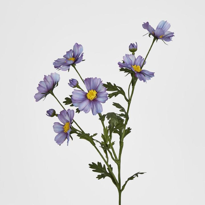 Cosmos Spray 85cm Light Purple