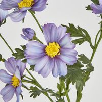 Cosmos Spray 85cm Light Purple