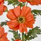 Orange Cosmos Spray by 3