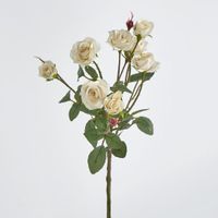Vanilla Rose Spray x 10