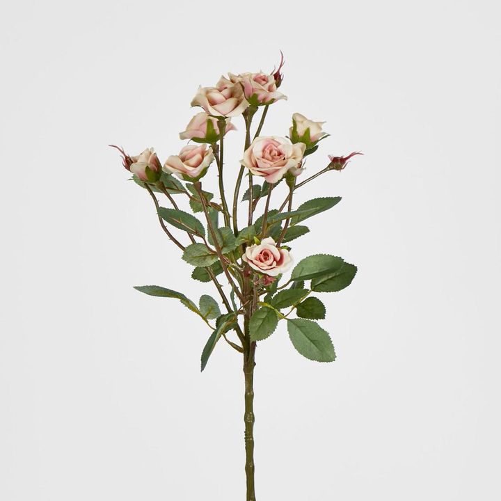 Peach Rose Spray x 10