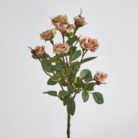 Peach Rose Spray x 10