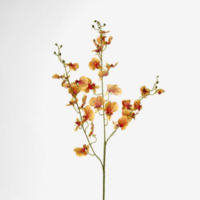 Lilly Dancing Orchid 98cm Orange