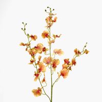 Lilly Dancing Orchid 98cm Orange