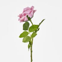 Walter Real Touch Rose Stem Lavender
61cm