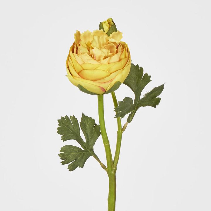 Ranunculus & Bud