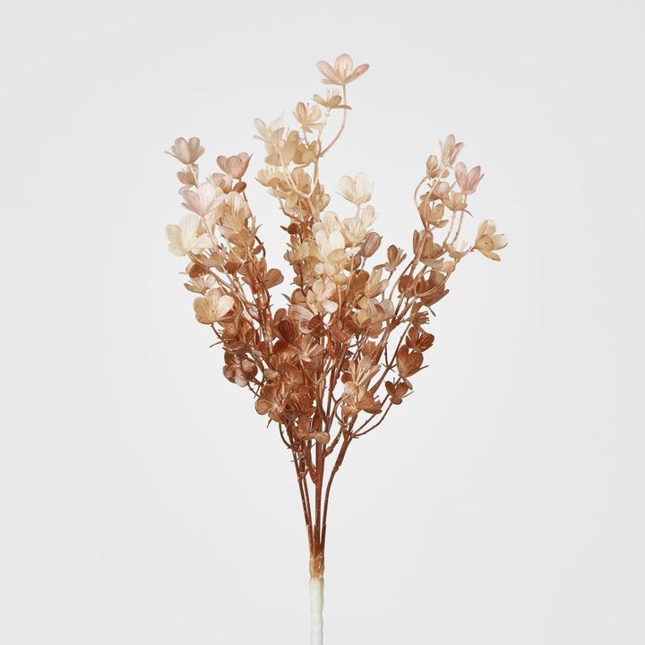 leaf Bush spray