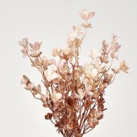 leaf Bush spray