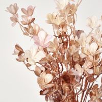 leaf Bush spray