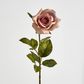 Long Stem Dusty Pastel Pink Rose