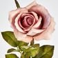 Long Stem Dusty Pastel Pink Rose