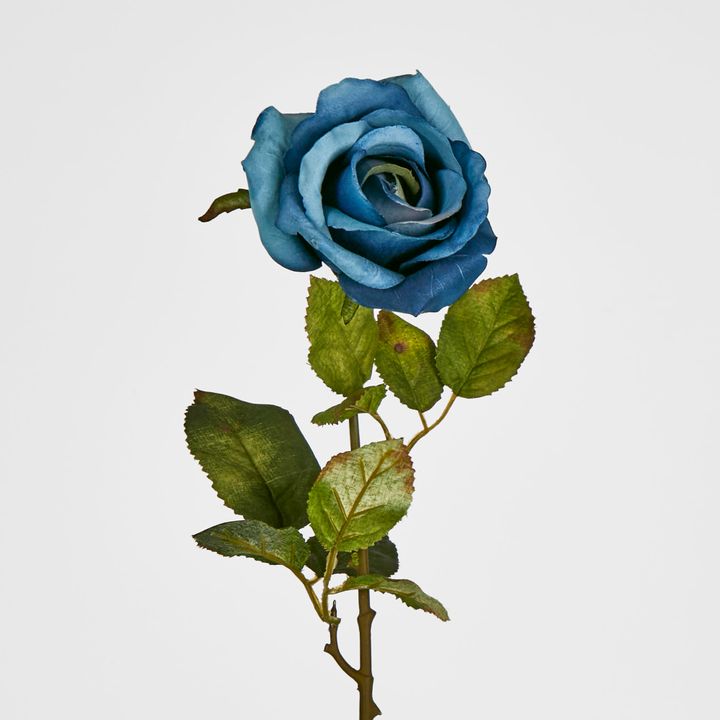 Long Stem Rose Blue