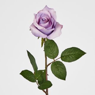 Long Stem Rose Purple