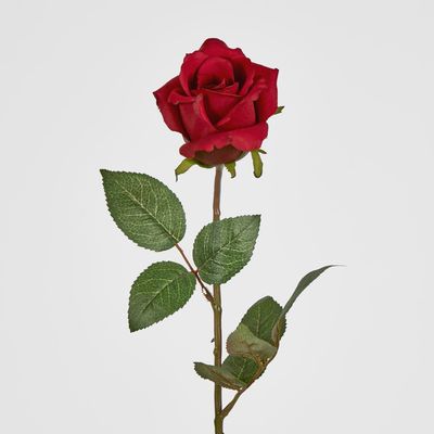 Long Stem Rose Red