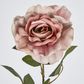 Dusty Pink Rose