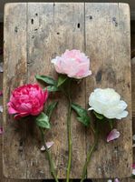 Peony Stem 66cm Pink