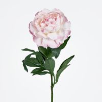 Single Peony with 4 Leaves Soft Pink 66CM