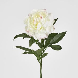 Single Peony with 4 Leaves White Pink 66CM