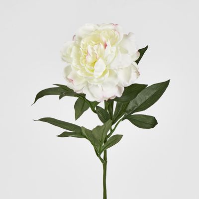 Single Peony with 4 Leaves White Pink 66CM