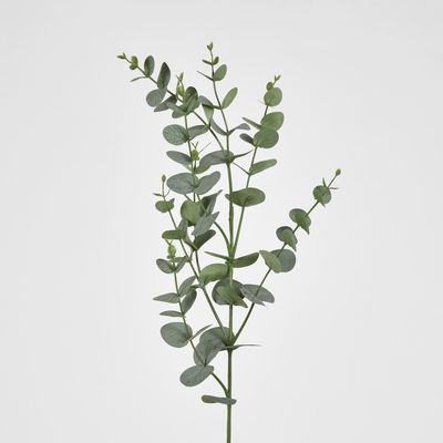 Eucalyptus Spray 97CM