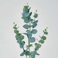 Eucalyptus Spray 97CM