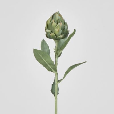 Single Artichoke Green 58CM